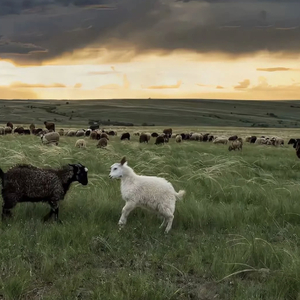 亚洲国产福利片在线精品一区
