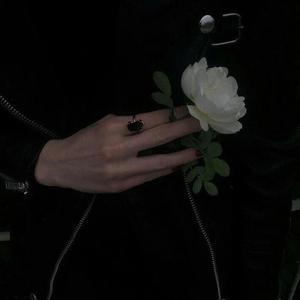 亚洲国产福利片在线精品一区
